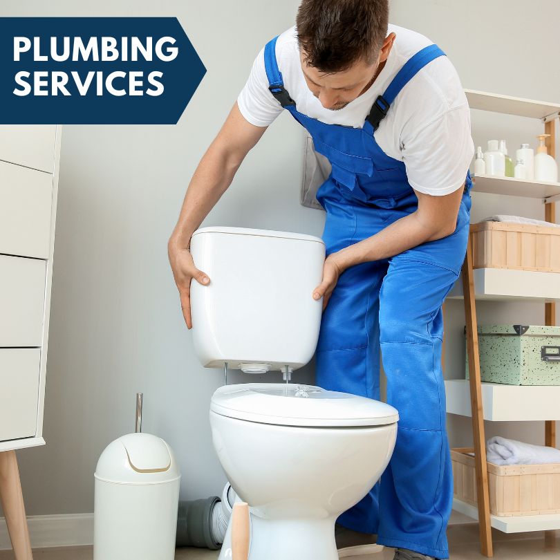 Plumbing Company in Riverside, MI